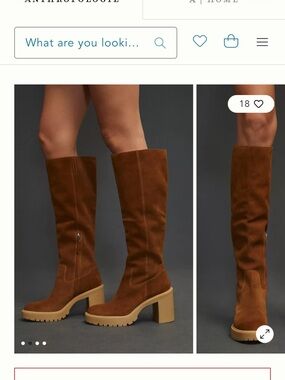 Dolce Vita Corry H20 Suede Waterproof Boots